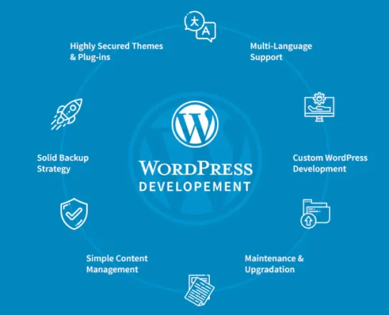 Professional WordPress development services showcasing website design and customization expertise for businesses.