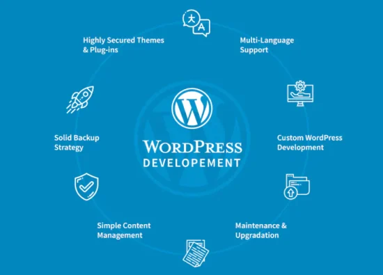 Professional WordPress development services showcasing website design and customization expertise for businesses.